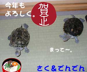 さく＆でんでん