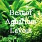 Best of Aquarium Layout