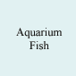 Aquarium Fish