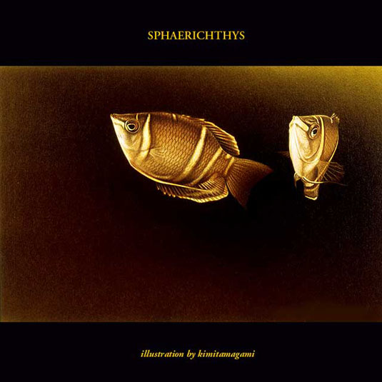 SPHAERICHTHYS