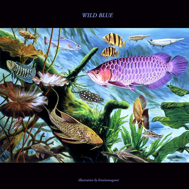 Wild Blue 2